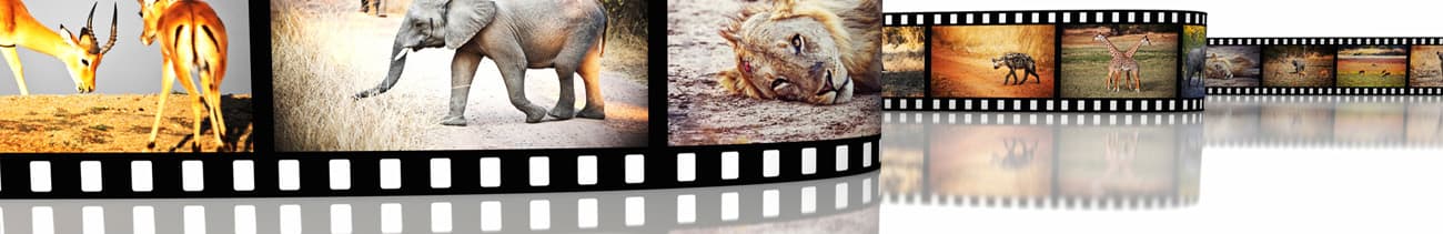 Filmstreifen Filmstreifen